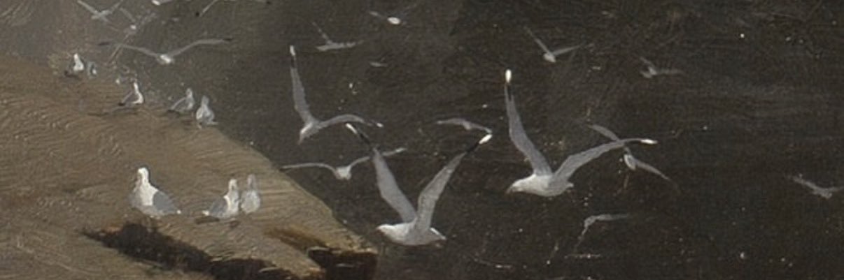 هديل🕊 banner