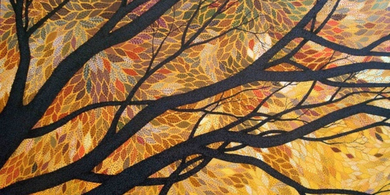 barry_cass's profile banner image