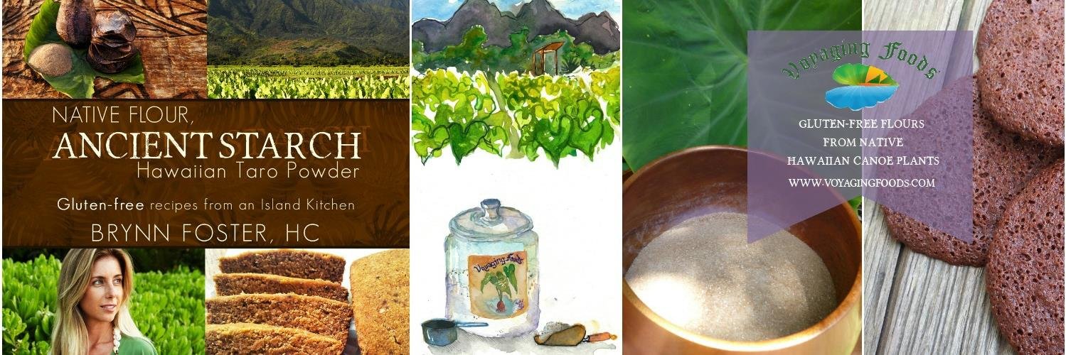 VoyagingFoods's profile banner image