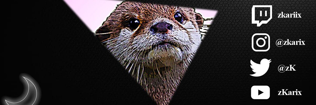 zKariix's profile banner image