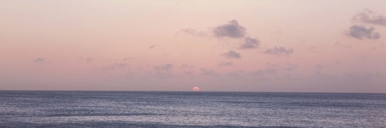 Fernando San Martín W. banner