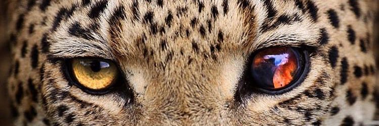 LeeO_59's profile banner image