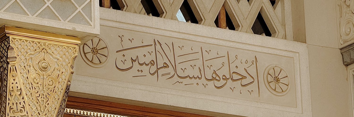Dame🇸🇳 banner