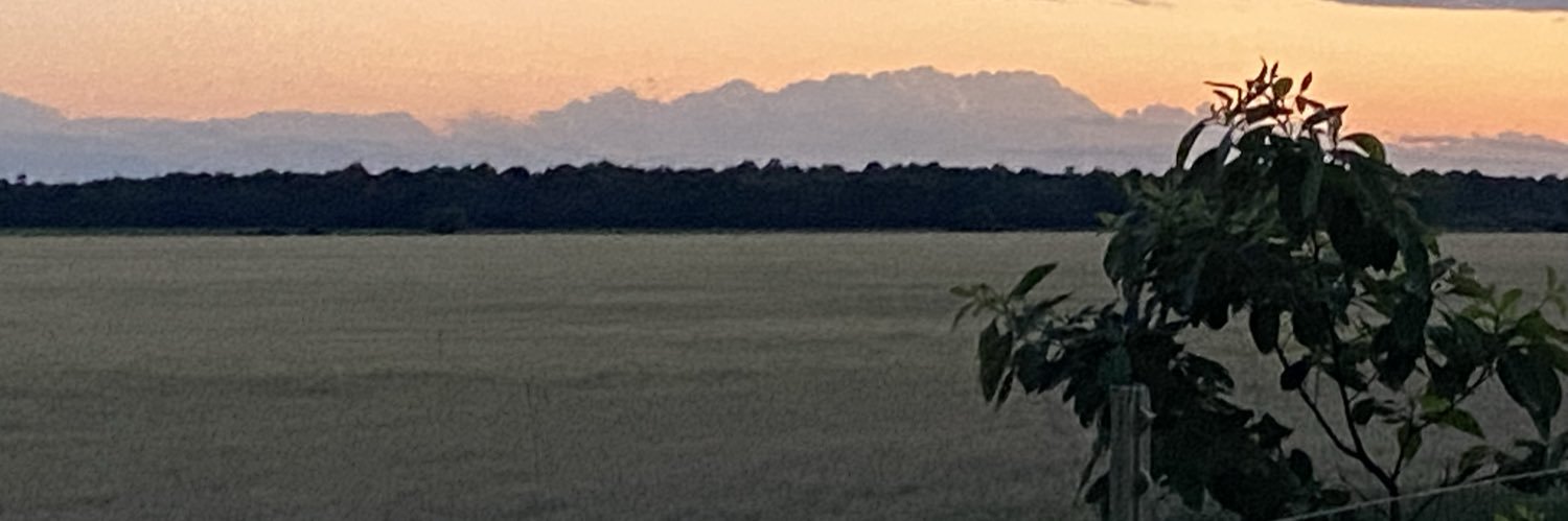 tomharrin's profile banner image