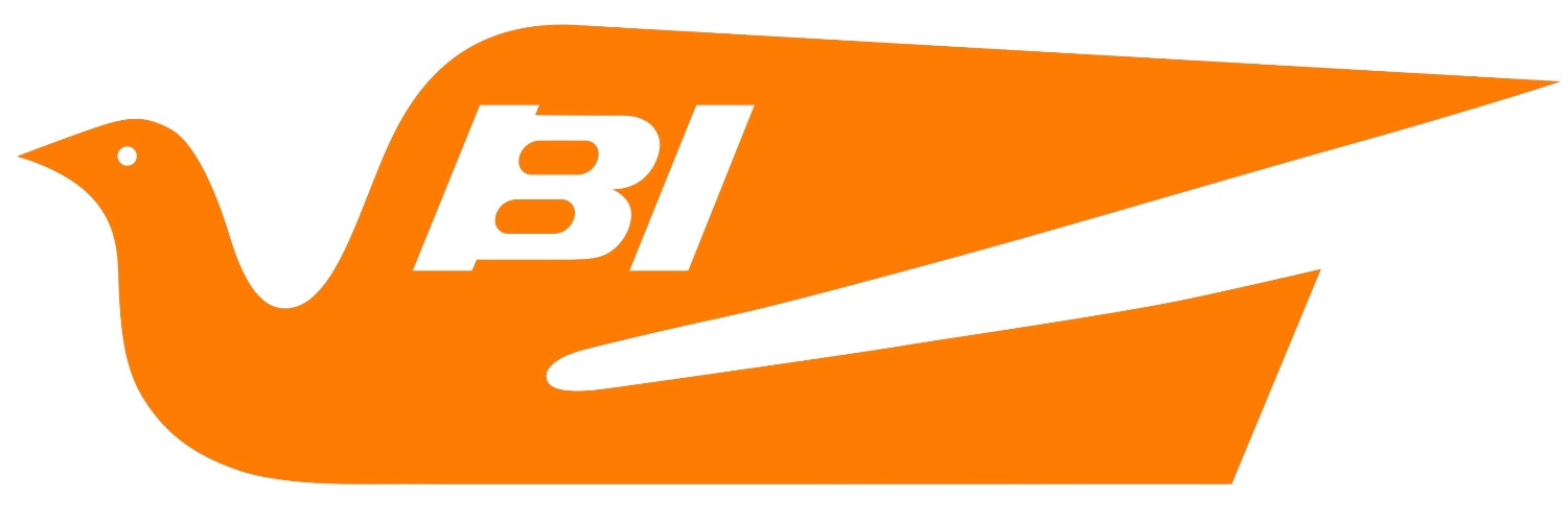 Braniff International banner