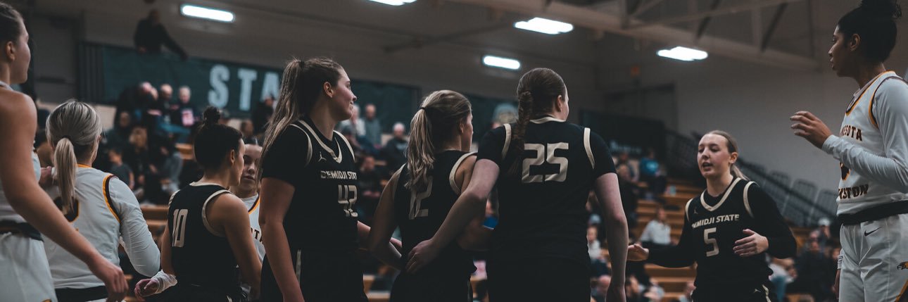 Ashlynne Guenther banner