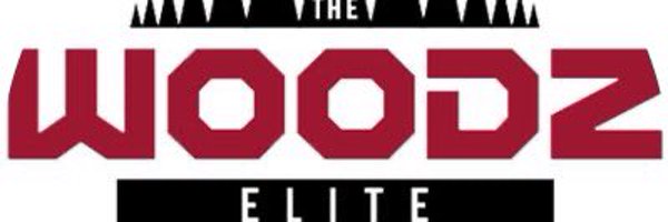 WOODZ ELITE 15U 2024 Profile Banner