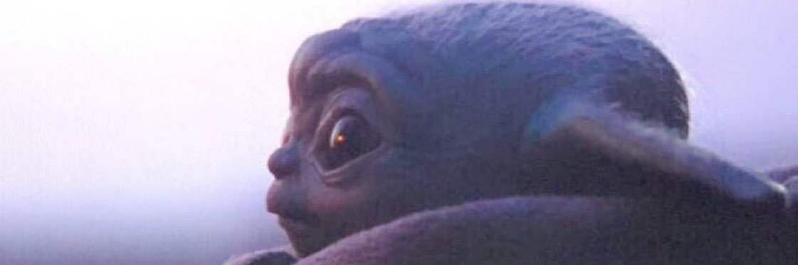 alez_x3's profile banner image