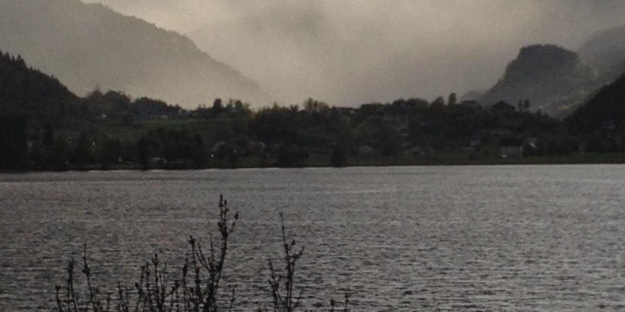 Lars Vangdal Tveisme banner