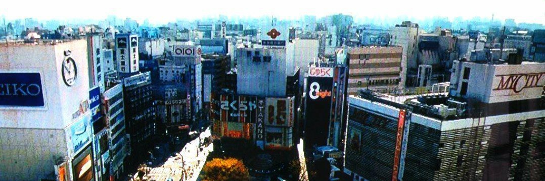 征士 banner