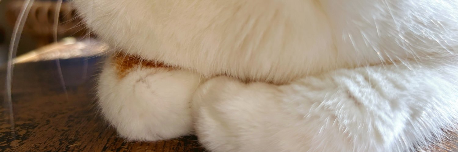 motz33's profile banner image