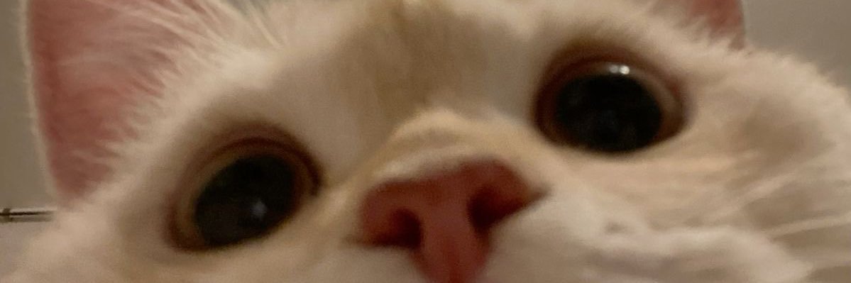 K🥬 banner