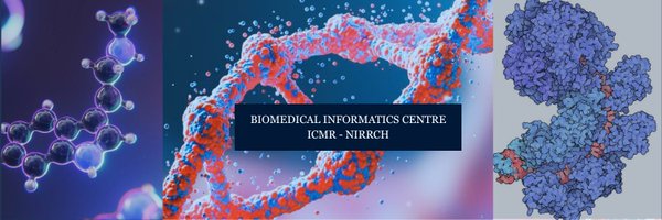 bicnirrh Profile Banner