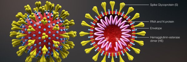 Corona Virus Monitor Profile Banner