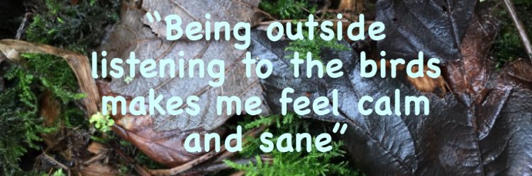 Emily Whiteley banner