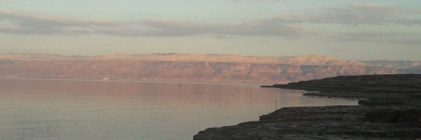 Michal_Segoli Profile Banner