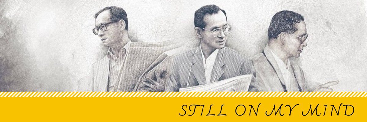 🕊️🕊️🇹🇭🇹🇭's banner