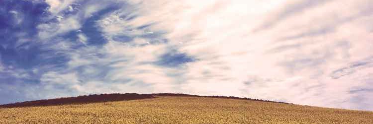 koolsultancy's profile banner image
