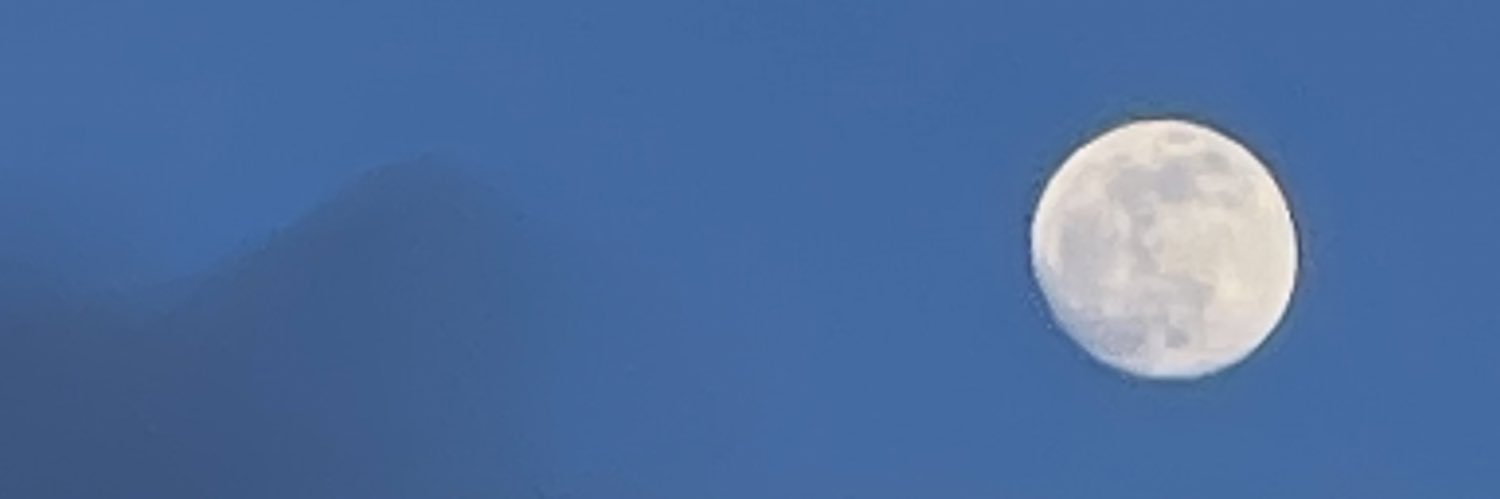 devbelker's profile banner image