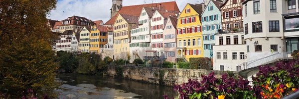 anoncortex Profile Banner