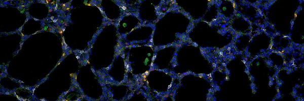 LabDeshmukh Profile Banner