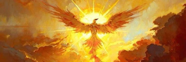 catarsez's profile banner image