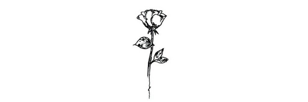 APepinillo's profile banner image