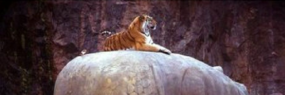 அப்பாஸ்❤️💛 banner