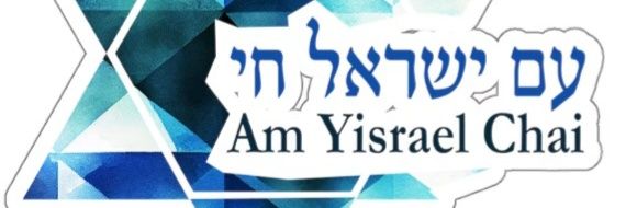 (((Sandi Barron))) ✡️ 🏳️‍🌈🇬🇱🇩🇰🏈🦅 banner