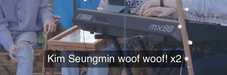 venus ☯︎ saw skz banner