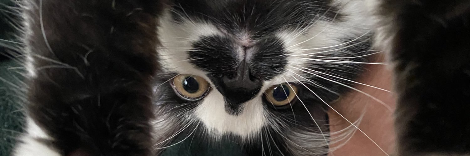 dansturbation's profile banner image