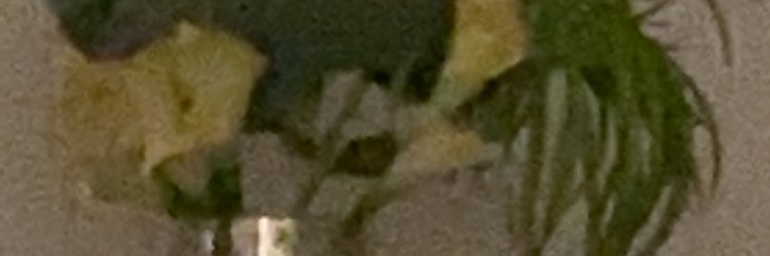 gusluchamp_18 banner