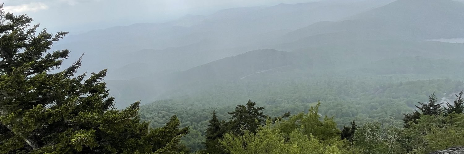 maerrlin's profile banner image