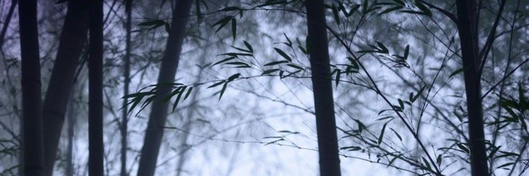 yuchang321's profile banner image