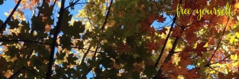 P_Dot22's profile banner image