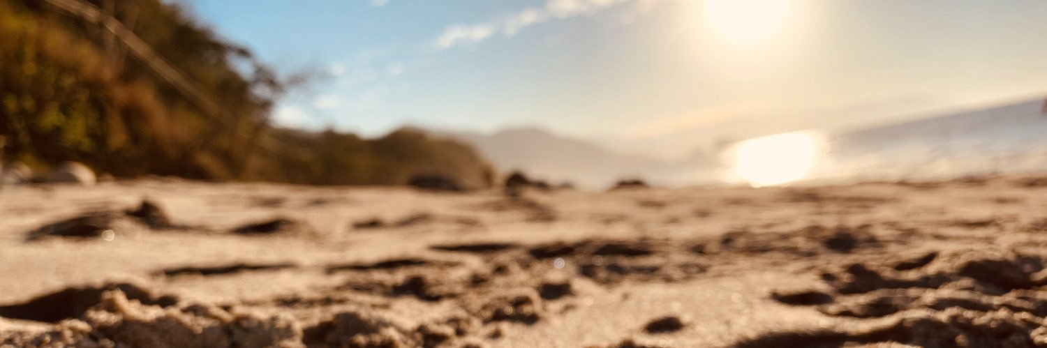 adrianasfritz98's profile banner image