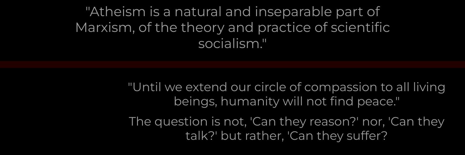 Biljana ☭ | Supporting 🇷🇺 🇨🇳 🇰🇵 banner