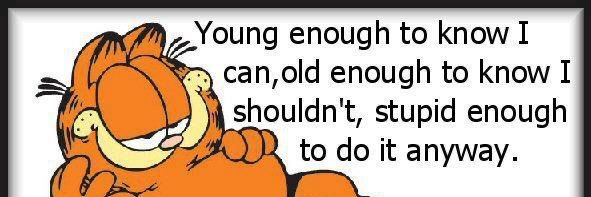 Billy Kingman banner