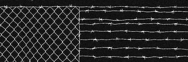 Skyborne IllustrationLLC☮️ (COMMS OPEN) banner