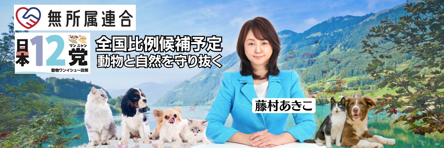 🐾 藤村晃子（あきこ）🐕🐈's banner