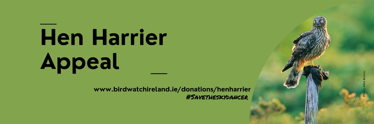 BirdWatch Ireland's banner
