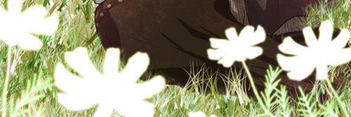 のぽ banner
