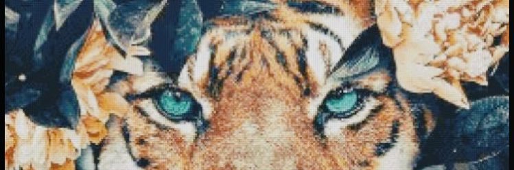 ManonDongen's profile banner image