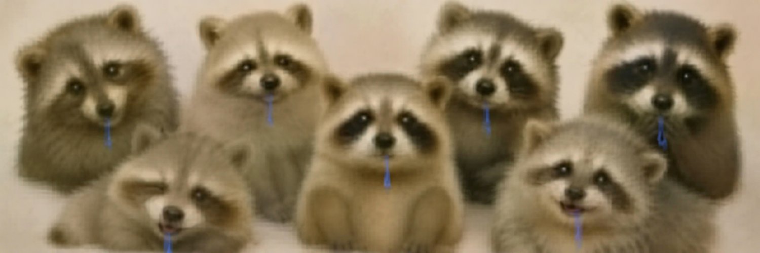 DROOLCOON banner