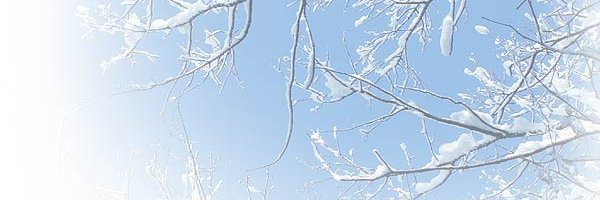 kaoru_sato's profile banner image