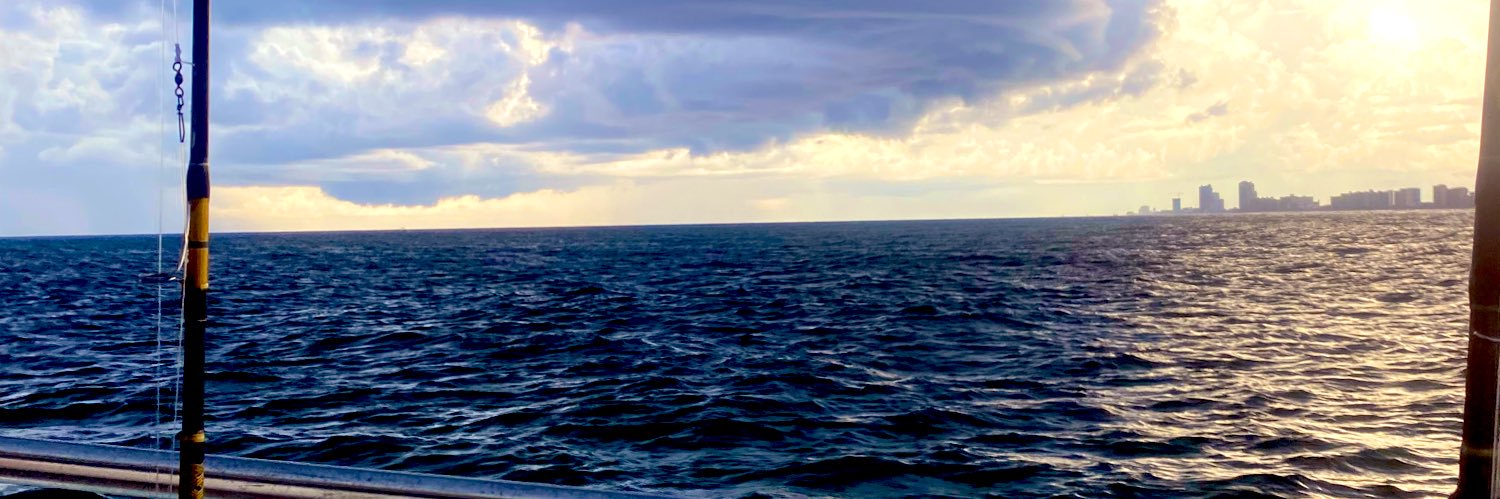 GillianLaxson's profile banner image