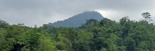 wongAyoe2021 Profile Banner