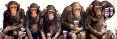 Mike (Corn-Pop) Chimp banner