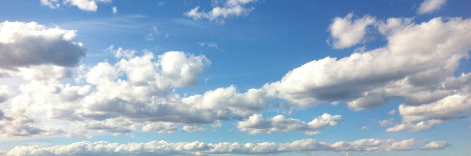 Олег Стрельников banner