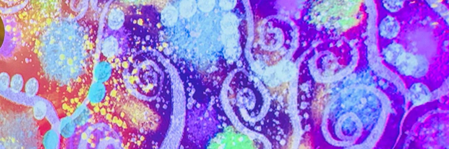 chiemi77's profile banner image